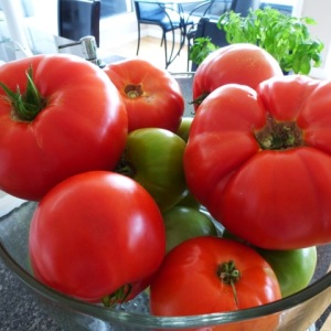 Tomato Beauties