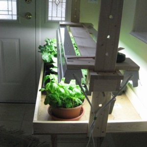 DIY Seed Table