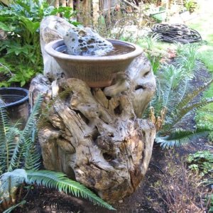 Stump Fountain