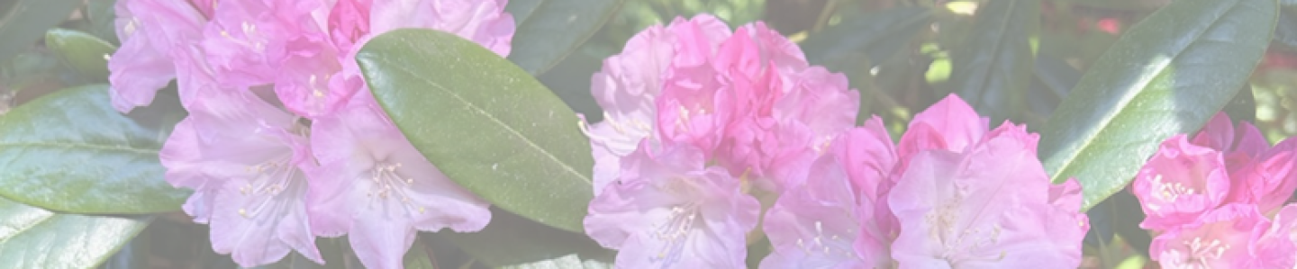 Nanaimo's Garden Club - Nanaimo Horticultural Society